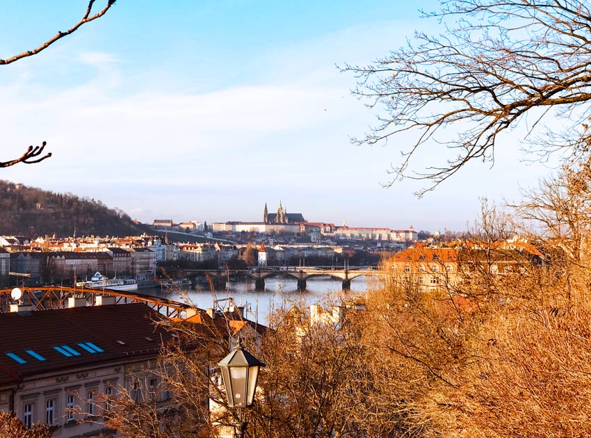 arbusto marrón con vistas al puente y al castillo de Praga